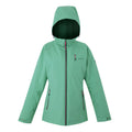 Dusty Green - Front - Regatta Womens-Ladies Highton IV Plain Stretch Padded Jacket