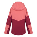 Mineral Red-Rumba Red - Back - Regatta Womens-Ladies Wentwood IX 3 in 1 Waterproof Jacket