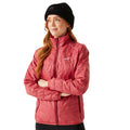 Mineral Red-Rumba Red - Pack Shot - Regatta Womens-Ladies Wentwood IX 3 in 1 Waterproof Jacket