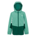 Dusty Green-Rainforest - Front - Regatta Childrens-Kids Highton V Padded Jacket