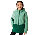 Dusty Green-Rainforest - Side - Regatta Childrens-Kids Highton V Padded Jacket