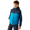 Navy-Hydro Blue - Side - Regatta Childrens-Kids Lofthouse II Gilet