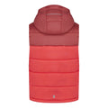 Mineral Red-Red Sky - Back - Regatta Childrens-Kids Lofthouse II Gilet