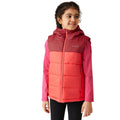 Mineral Red-Red Sky - Side - Regatta Childrens-Kids Lofthouse II Gilet