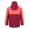 Rumba Red-Red Sky - Back - Regatta Girls Trekktain 3 in 1 Waterproof Jacket