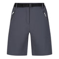 Seal Grey - Front - Regatta Womens-Ladies Xert III Stretch Shorts