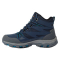 Navy-Exotic Plume - Pack Shot - Regatta Womens-Ladies Holcombe III Walking Boots