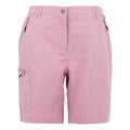 Lilac - Front - Regatta Womens-Ladies Chaska III Walking Shorts