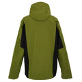 Nephrite Green-Black - Back - Regatta Mens Birchdale II Waterproof Jacket