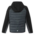 Black-Seal Grey - Back - Regatta Childrens-Kids Kielder IX Hybrid Jacket