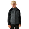 Black-Seal Grey - Lifestyle - Regatta Childrens-Kids Kielder IX Hybrid Jacket