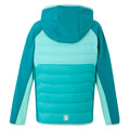 Turquoise-Aruba Blue-Exotic Plume - Back - Regatta Childrens-Kids Kielder IX Hybrid Jacket