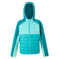 Turquoise-Aruba Blue-Exotic Plume - Front - Regatta Childrens-Kids Kielder IX Hybrid Jacket