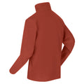 Burnt Tikka - Back - Regatta Great Outdoors Mens Thompson Half Zip Fleece Top