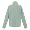 Glacier - Back - Regatta Great Outdoors Mens Thompson Half Zip Fleece Top