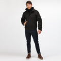 Black-Ash - Lifestyle - Regatta Dover Waterproof Windproof Jacket (Thermo-Guard Insulation)