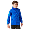 Oxford Blue-New Royal - Lifestyle - Regatta Great Outdoors Childrens-Kids Pack It Jacket III Waterproof Packaway Black