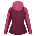 Amaranth-Viola - Back - Regatta Womens-Ladies Birchdale Shell Waterproof Jacket