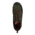 Bayleaf-Burnt Umber - Lifestyle - Regatta Mens Holcombe IEP Low Hiking Boots