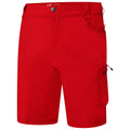 Burnt Salmon - Pack Shot - Dare 2B Mens Tuned In II Multi Pocket Walking Shorts