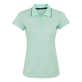 Icy Morn - Front - Regatta Womens-Ladies Maverick V Polo Shirt