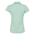 Icy Morn - Back - Regatta Womens-Ladies Maverick V Polo Shirt