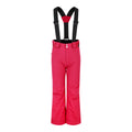 Berry Pink - Front - Dare 2B Childrens-Kids Outmove II Ski Trousers