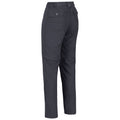 Seal Grey - Pack Shot - Regatta Womens-Ladies Chaska II Walking Trousers