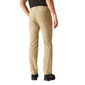 Oat - Back - Regatta Mens Highton Walking Trousers