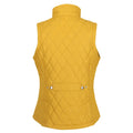 Mustard Seed - Back - Regatta Womens-Ladies Charna Gilet