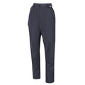 Seal Grey - Front - Regatta Womens-Ladies Chaska II Walking Trousers