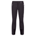 Ash-Black - Front - Regatta Mens Mountain Walking Trousers