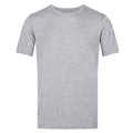 Rock Grey Marl - Front - Regatta Mens Fingal Edition T-Shirt