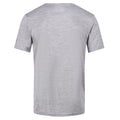 Rock Grey Marl - Pack Shot - Regatta Mens Fingal Edition T-Shirt