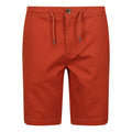 Baked Clay - Front - Regatta Mens Albie Shorts