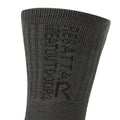 Black-Ash - Side - Regatta Womens-Ladies Blister Protection II Boot Socks