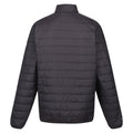 Ash-Orange Pepper - Back - Regatta Mens Hillpack Quilted Insulated Jacket