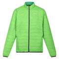 Jasmine Green-Field Green - Front - Regatta Mens Hillpack Quilted Insulated Jacket