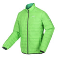 Jasmine Green-Field Green - Side - Regatta Mens Hillpack Quilted Insulated Jacket