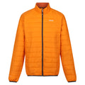 Orange Peel-Burnt Copper - Front - Regatta Mens Hillpack Quilted Insulated Jacket