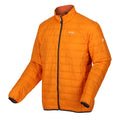 Orange Peel-Burnt Copper - Back - Regatta Mens Hillpack Quilted Insulated Jacket