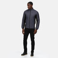 Seal Grey-Black - Back - Regatta Mens Tourer Hybrid Jacket