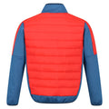 Dynasty Blue-Fiery Red - Back - Regatta Mens Clumber II Hybrid Insulated Jacket