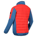 Dynasty Blue-Fiery Red - Side - Regatta Mens Clumber II Hybrid Insulated Jacket