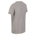 Silver Grey - Close up - Regatta Mens Cline VI Marl Cotton T-Shirt