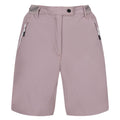 Heather - Front - Regatta Womens-Ladies Mountain II Shorts