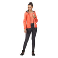 Neon Peach-Fusion Coral - Back - Regatta Womens-Ladies Tarvos IV Softshell Jacket