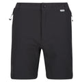 Ash-Black - Front - Regatta Mens Mountain II Shorts