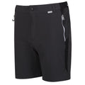 Ash-Black - Side - Regatta Mens Mountain II Shorts