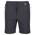 Seal Grey-Black - Front - Regatta Mens Mountain II Shorts